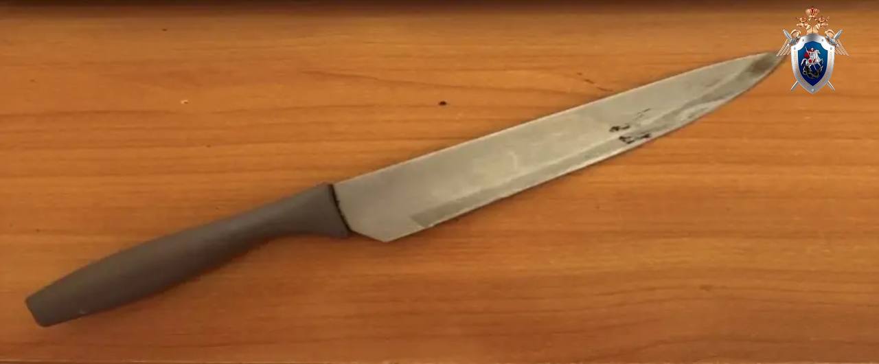 В Омской области вынесен приговор женщине, признанной виновной в причинении смерти родственнице В Омской области вынесен приговор женщине, признанной виновной в причинении смерти родственнице