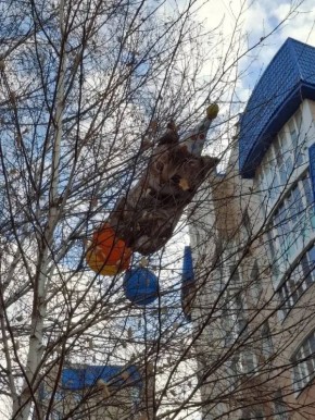 Доброе утро, омичи!. «Весна пришла, коты прилетели » — такая забавная фотография пришла к нам в редакцию