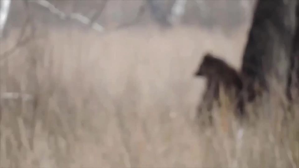 ��������� ����� � ����������� � ��������� ���������