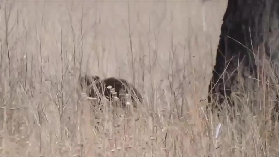 ��������� ������� ������ �������� � ����� � ����