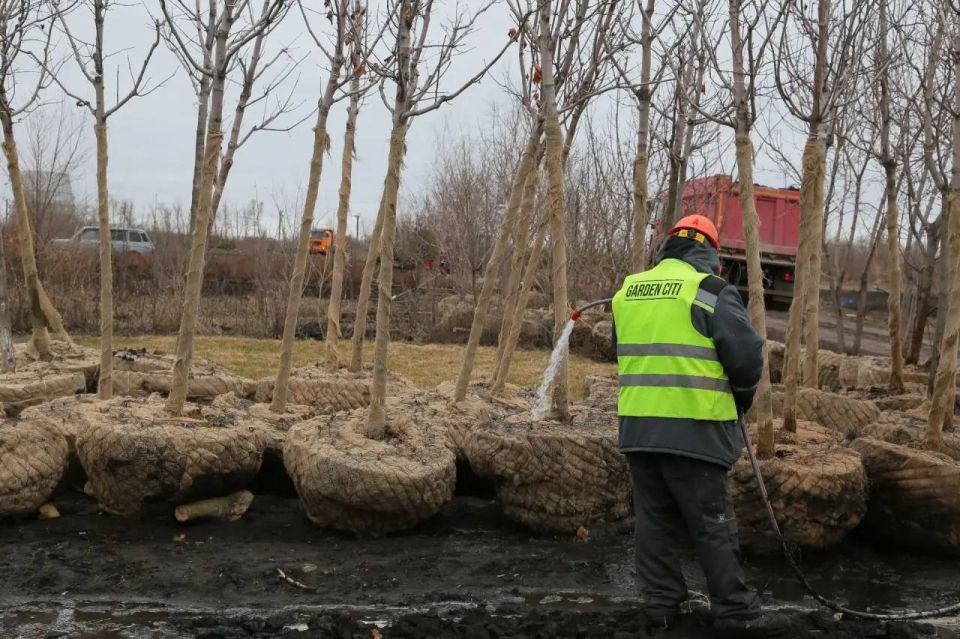 ������ ������: �� ����� ������� ������ ��� ������������� ����� � ���������� ������������ �������� � ������������� �������� ��� ��������