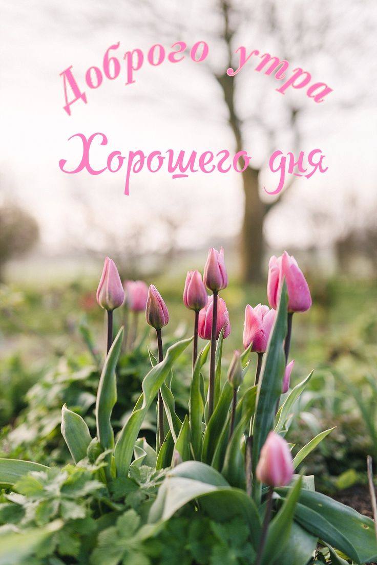 Доброе утро!. Сегодня 9 апреля — несколько необычных поводов для настроения