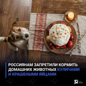 Россиянам запретили кормить домашних животных куличами и крашеными яйцами