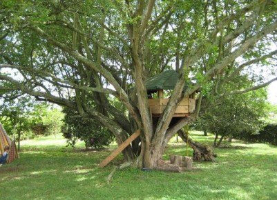 Как построить домик на дереве: мечта, которая стала реальностью
