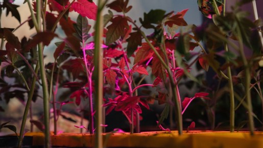 ��� ������������ ����� �� 67 ������ ������ ������ � ����� �������