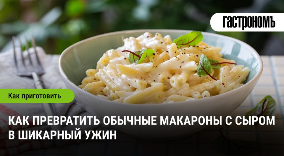 �������� � �����: �� ��������� ����� �� ���������������� ������������