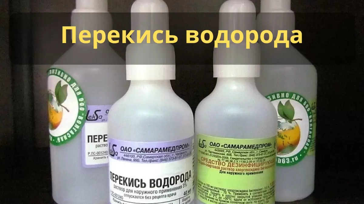 Как реанимировать старые семена: секреты успешного огородника