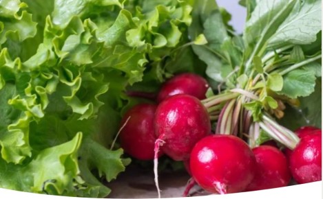 Июль в огороде: какие культуры сеять на освобожденные грядки