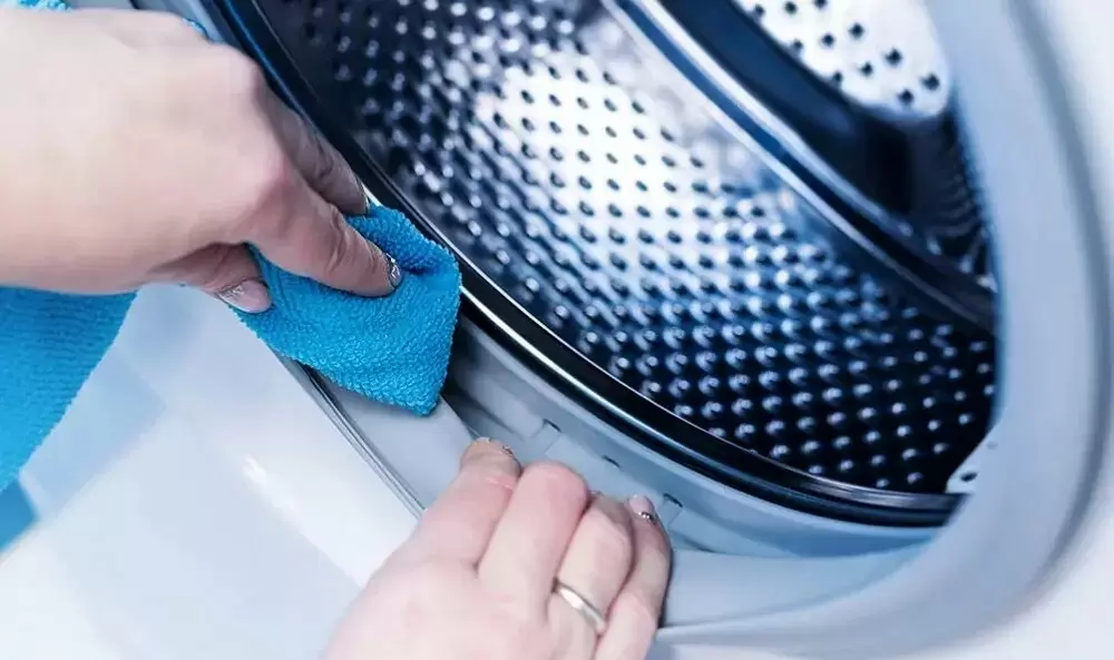 Плесень в манжетах стиральной машины: как избавиться от запаха и налёта быстро и безопасно