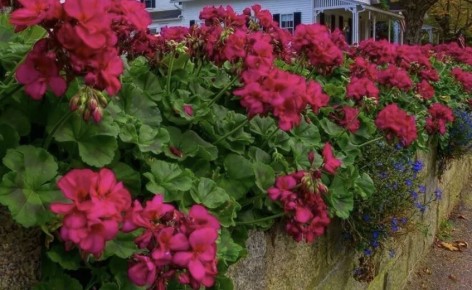 ���� �� ������������: ������� ������ �������� � ������ ������