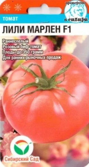 Томат Лили Марлен: наблюдение о раннем высокорослом гибриде с малиновыми плодами