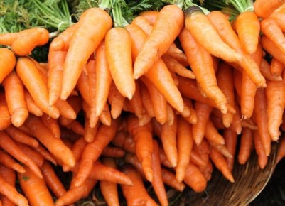 ������ ������� ����� ������� � ���� � ������� ������