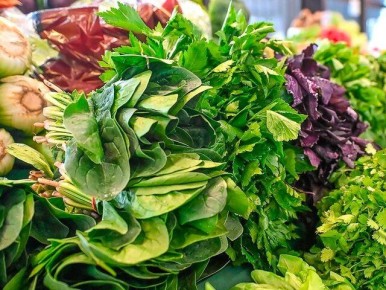 �� ��������� �������� ������������ �����: ������ ������ � ����� � �������