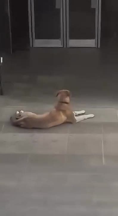 � ����� ��������� ��� � ������ ������