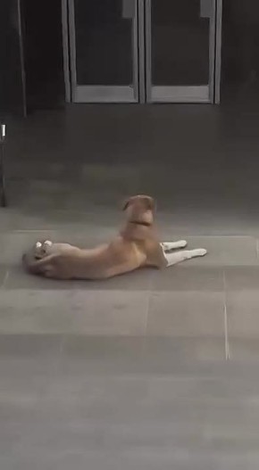 � ����� ��������� ��� � ������ ������