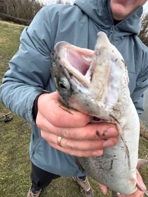 ������� ����� �� �������: ������ ������� � ��������