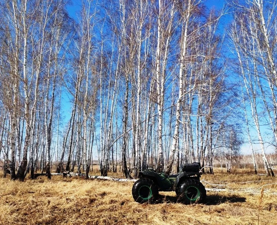 В Тюкалинском районе задержаны подозреваемые в незаконной охоте на лося