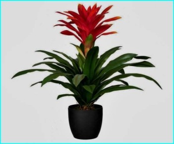 ��������: ������������ ��������� ��� ������ ����