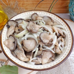 ������ � ������� ������������ ������� ������� �� ����������� ����