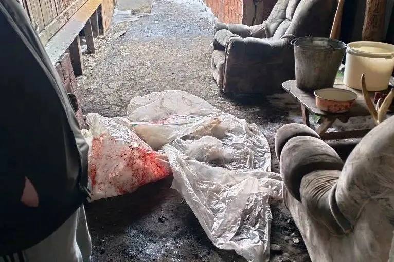 Оперативники межмуниципального отдела МВД России «Тюкалинский» совместно с коллегами из уголовного розыска УМВД России по Омской области при силовой поддержке бойцов спецназа СОБР «Каскад» Росгвардии Омской области задержали... Оперативники межмуниципального отдела МВД России «Тюкалинский» совместно с коллегами из уголовного розыска УМВД России по Омской области при силовой поддержке бойцов спецназа СОБР «Каскад» Росгвардии Омской области задержали...