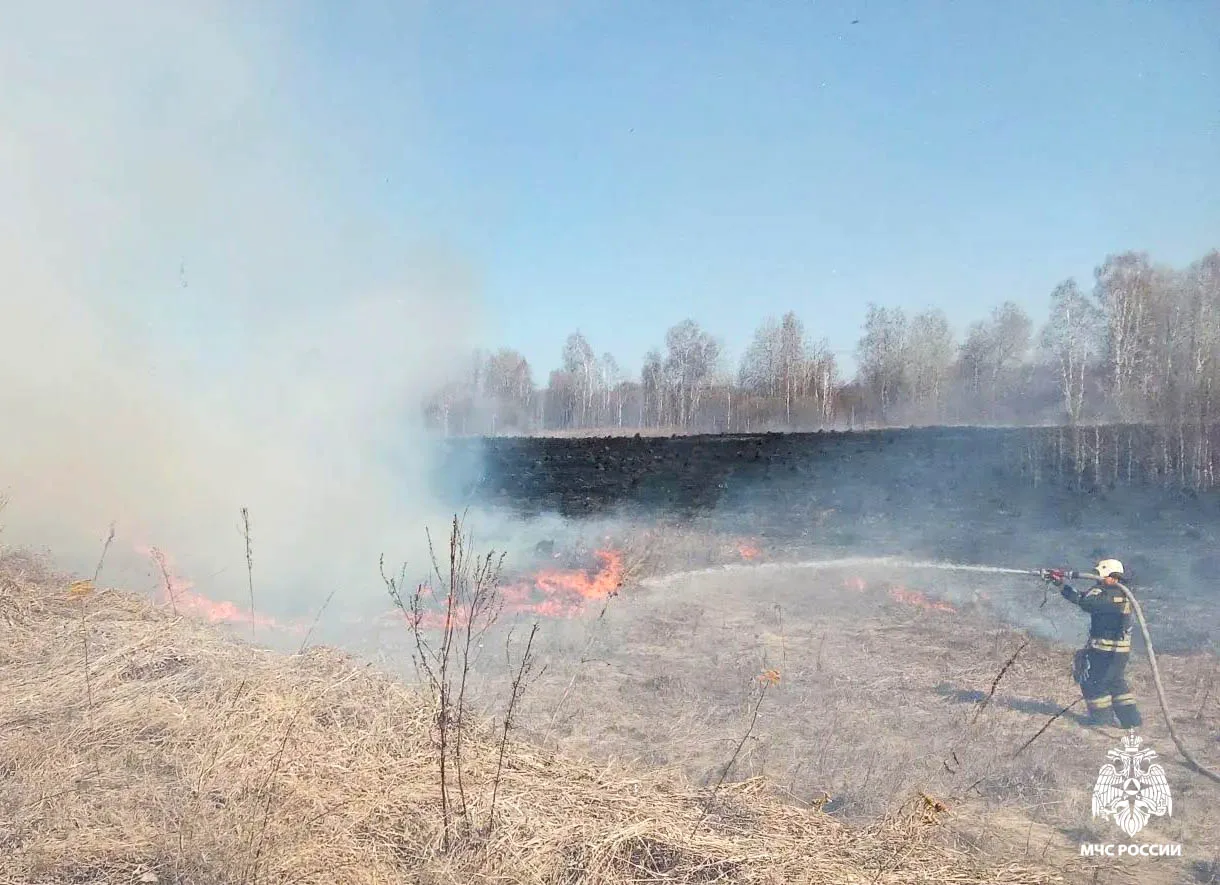 #пожарызасутки. 13 апреля в 11:23 В Знаменском районе в двух километрах от деревни Богочаново горела трава на открытой территории