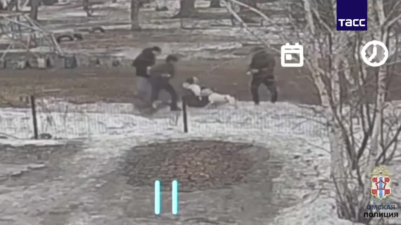 В Омске пьяный мужчина избил женщину и натравил на нее и ее питомцев своего стаффордширского терьера, сообщили в региональном УМВД