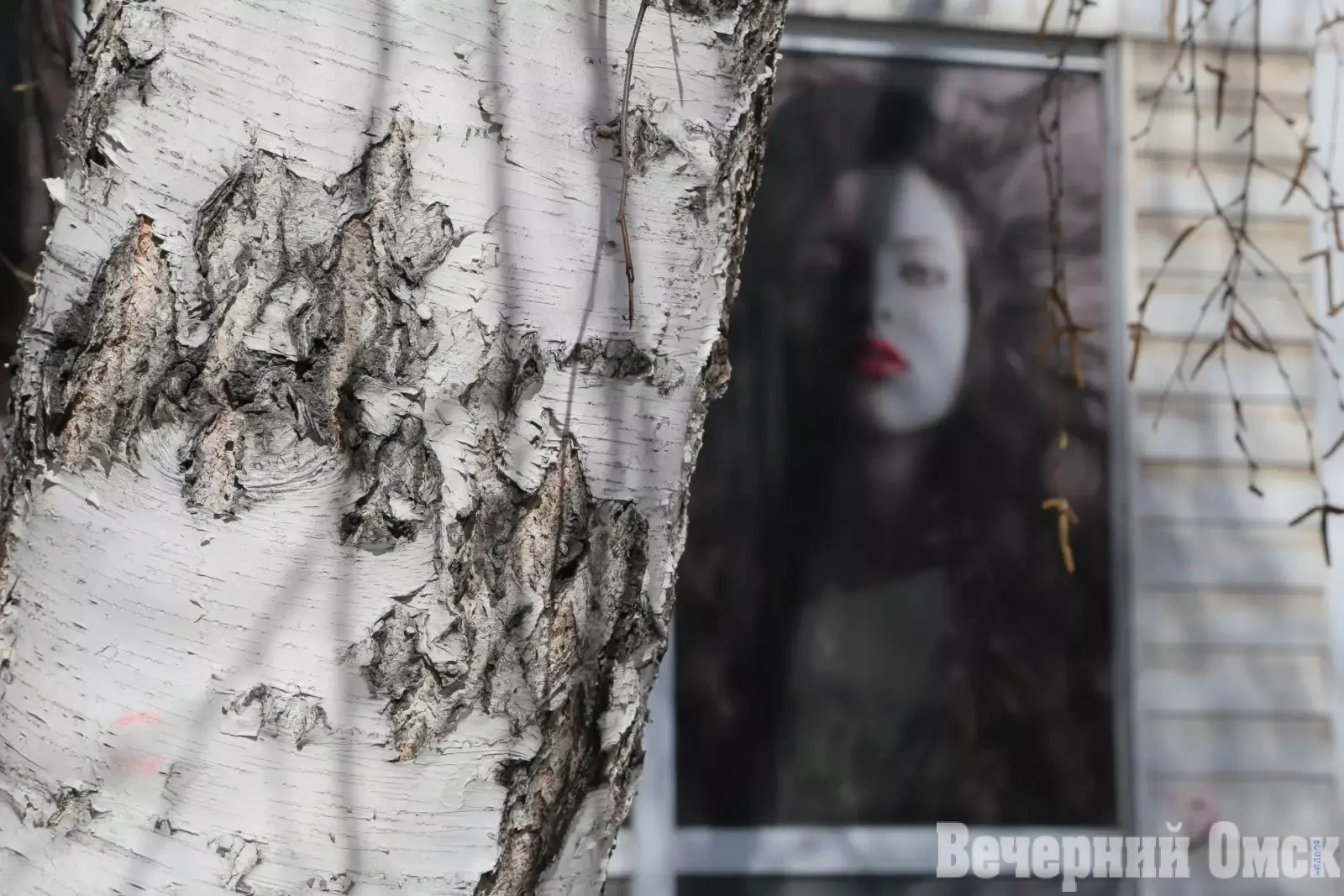 Хорошая новость для аллергиков: в России разработана первая отечественная вакцина от аллергии на пыльцу березы «Аллегарда»