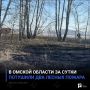 В Омской области за сутки потушили два лесных пожара