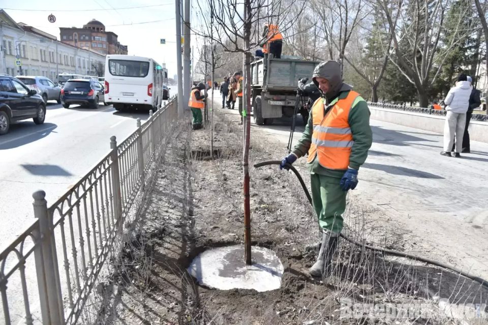 � ��� �������� ����� ������ �������� ������-��������� �������