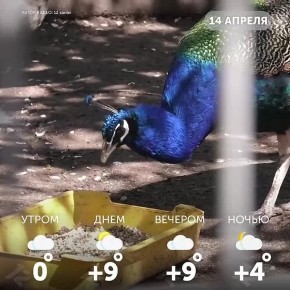 ������ ����, �����!. ������ ������� � ������, ������� � ������ � ���� �� ������ ������ ���������� ������� ����