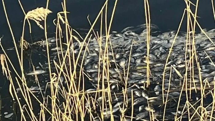 � ����� ������ ������� ������� ������� ����