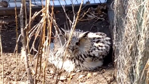 � ��� ���� �����. � ������ �������� ������� ����� �������� ����