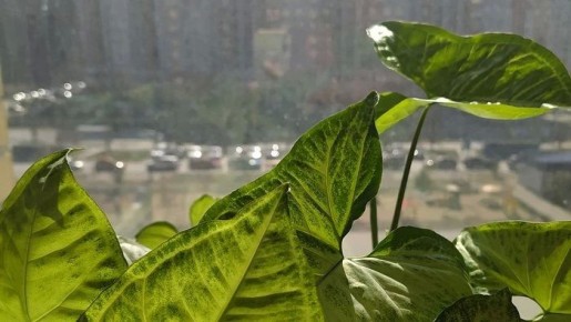 �� ������� ������ ������� ��������� ����������