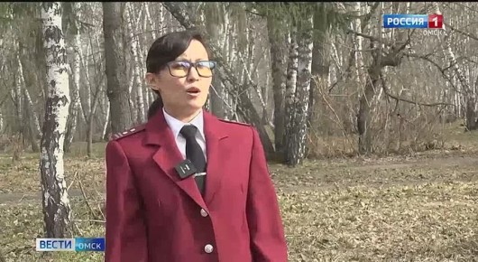 � ������ ������� ���������������� �����