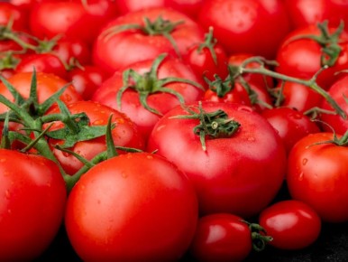 Секреты успешного посева томатов: как получить вкусный урожай в условиях короткого лета