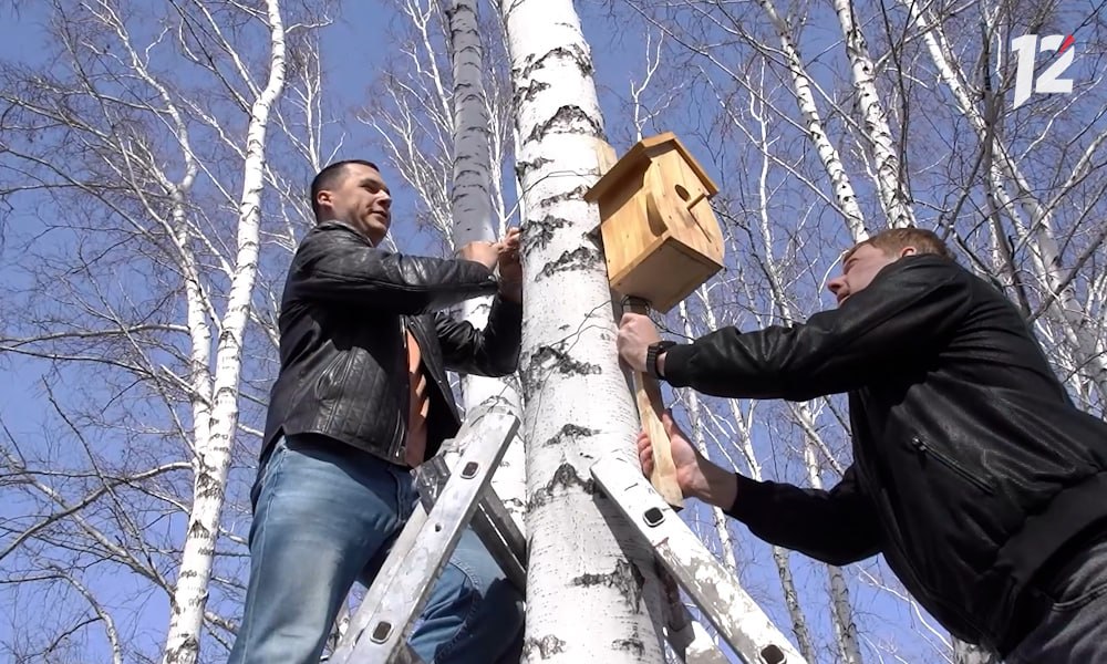 «Птичья гавань» встретила весну большой уборкой «Птичья гавань» встретила весну большой уборкой