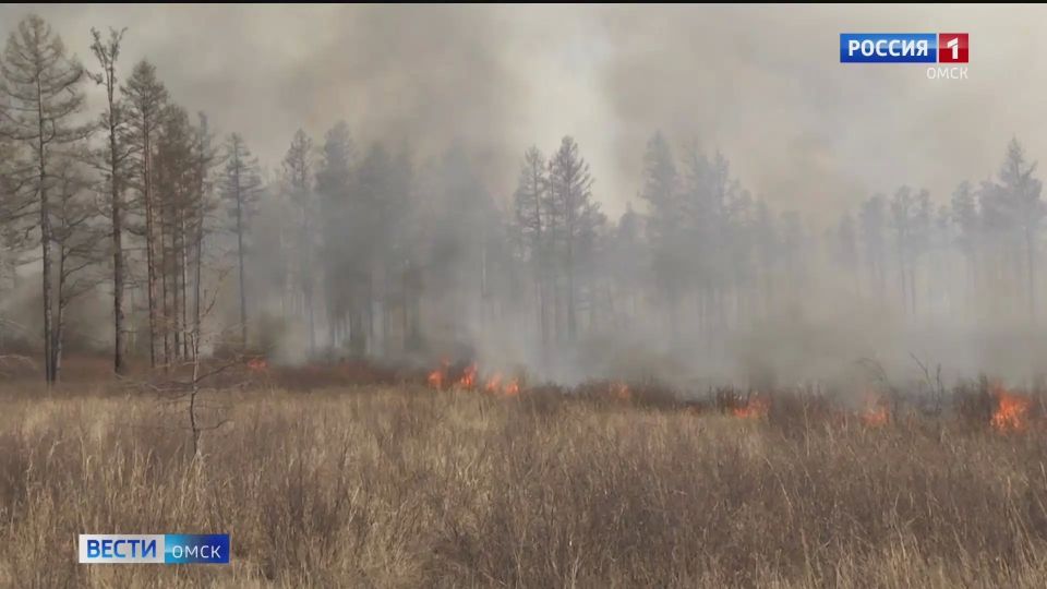 �� ������ ������ ������� ������ ������ ��������������� �����