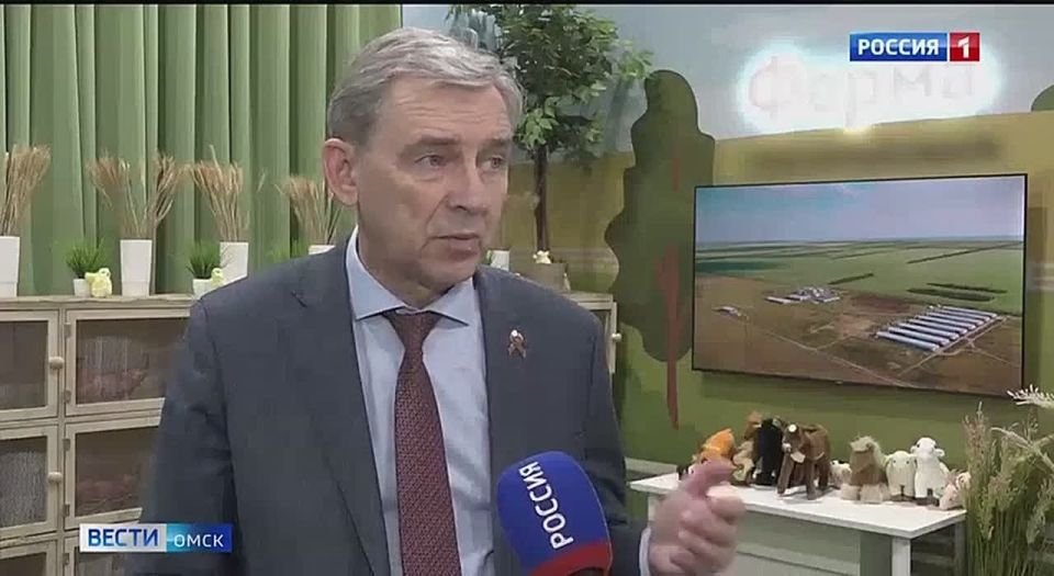 �������� ���������� ���������� �������� �������������� ����������� ������ ������������ ������� ����������������� ���������