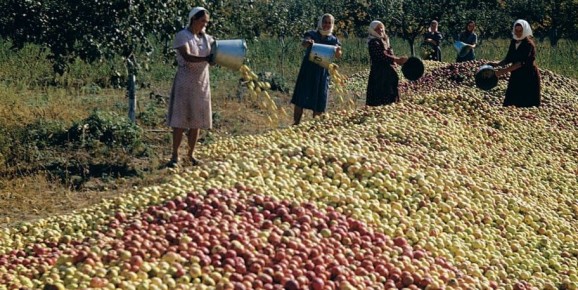 ��� �������� �� ��������� �����: ���� �������� � ����������� ������