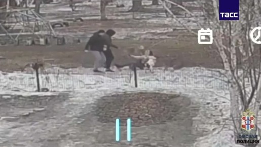 В Омске пьяный мужчина избил женщину и натравил на нее и ее собак своего стаффордширского терьера, возбуждено уголовное дело, сообщили в УМВД по региону