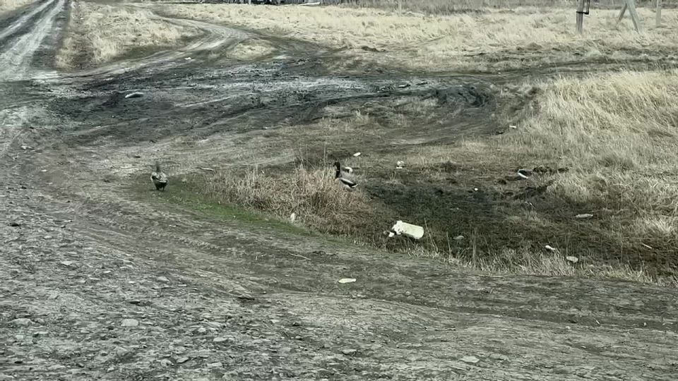 � ������ ������� � ����������� ���� ������� ������� �����