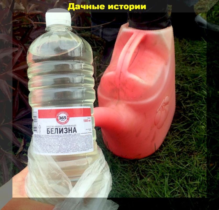 �������� ����������� ����: ��� ��������� �������� �������� � ������� �������