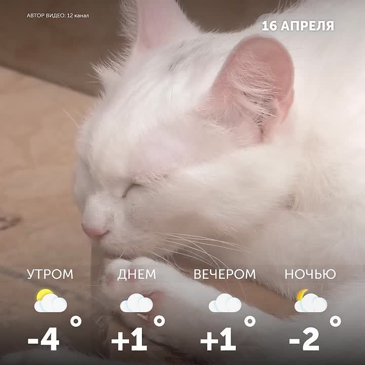 ������ ����, �����!. �������� ����� ���� � ������ � ���������� ������!