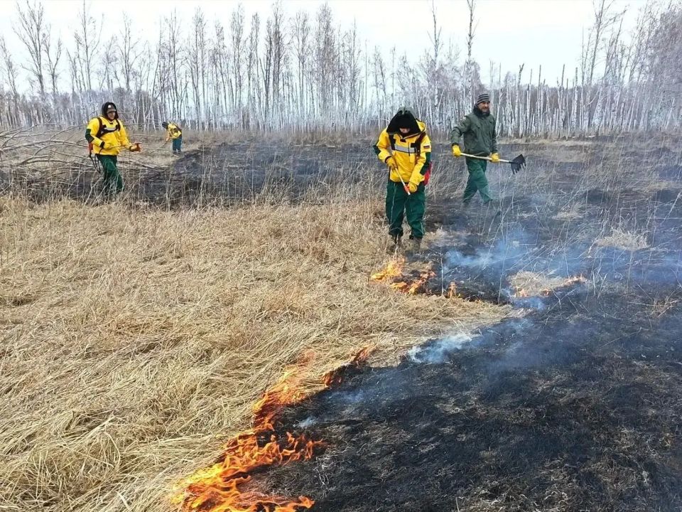 � ������ ������� ����������� ������� � ������� ������������ ������