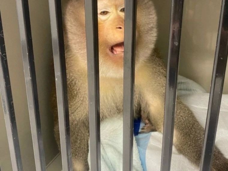 � ����� ������ 16������ ��������� �� ����������� ������ ����