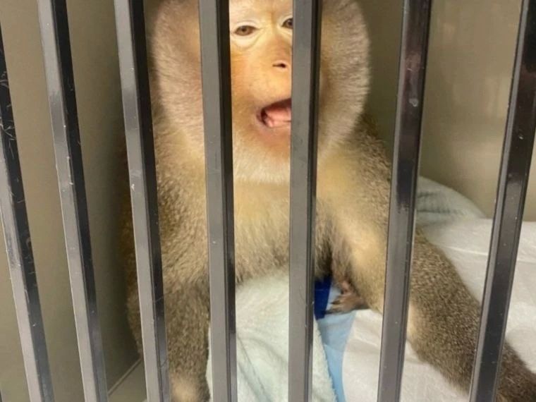 � ������ ���������� ������ 16-������� ������ ���� �� ����������� ������ ����