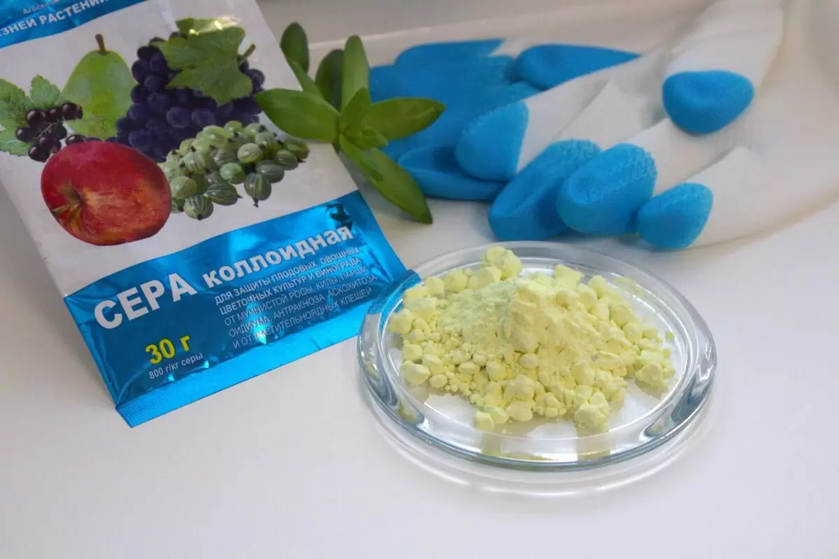 Сера: секретный ингредиент для роста растений и борьбы с вредителями