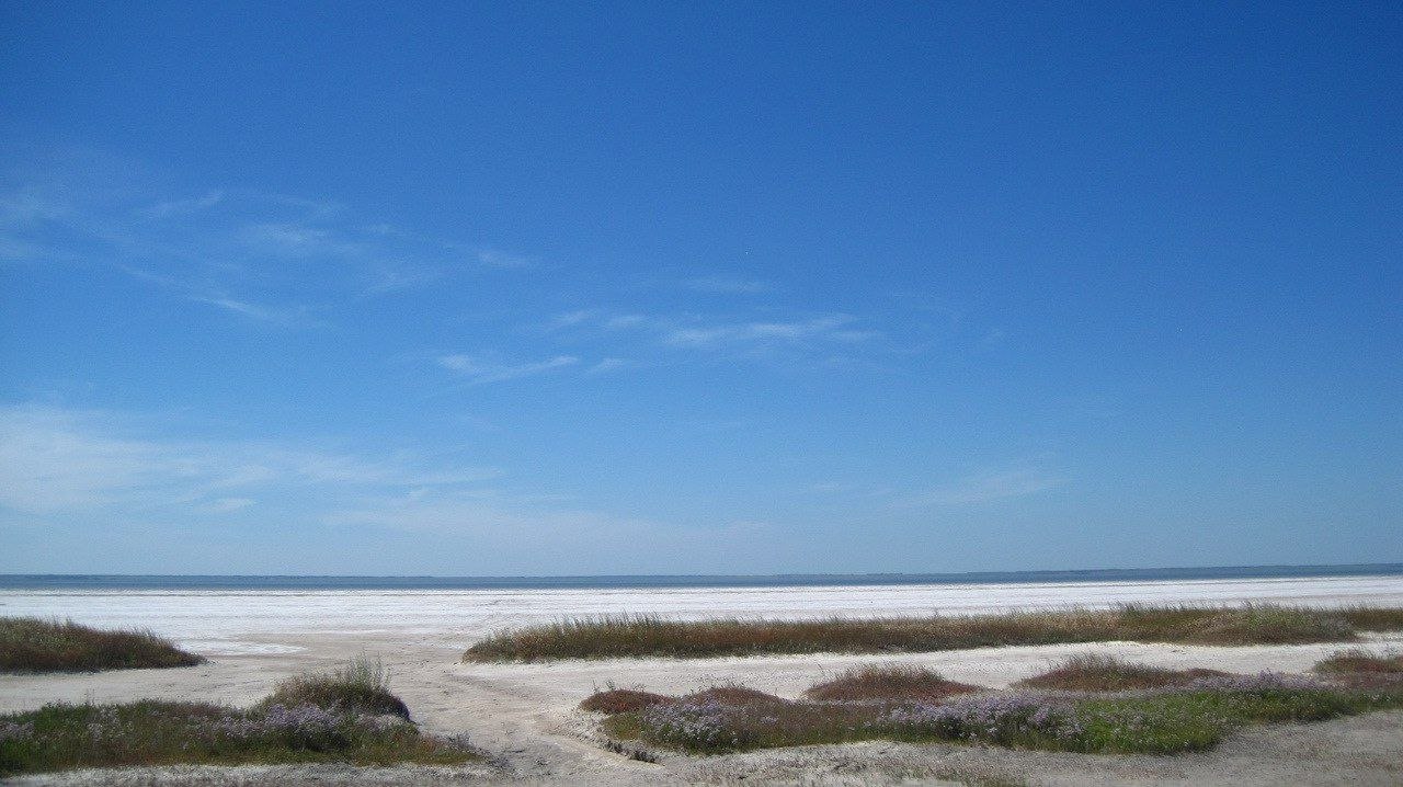 Озеро Ебейты расположено в Омской области, на стыке границ Москаленского, Исилькульского и Полтавского районов Озеро Ебейты расположено в Омской области, на стыке границ Москаленского, Исилькульского и Полтавского районов