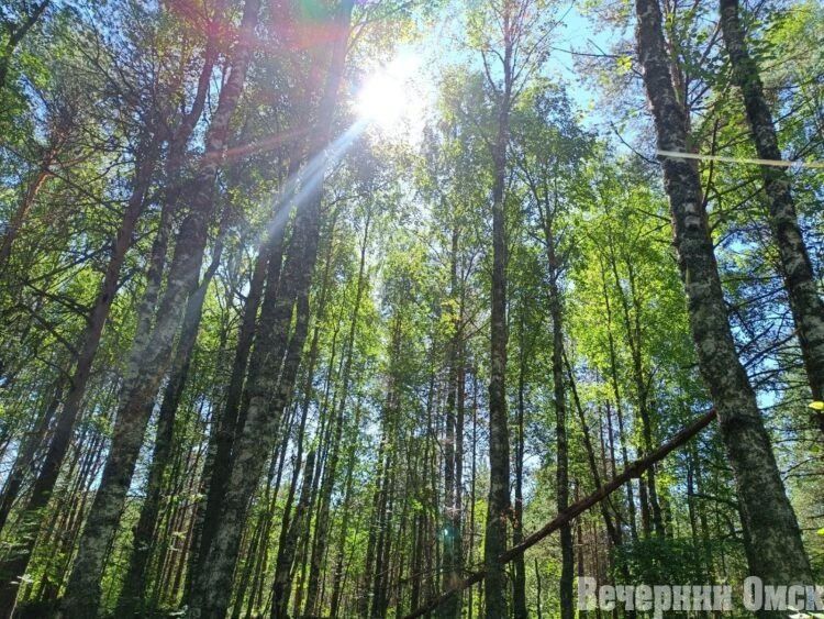 ����� ������ �����, ������� ���������� ����� ����� �����, ��� �������