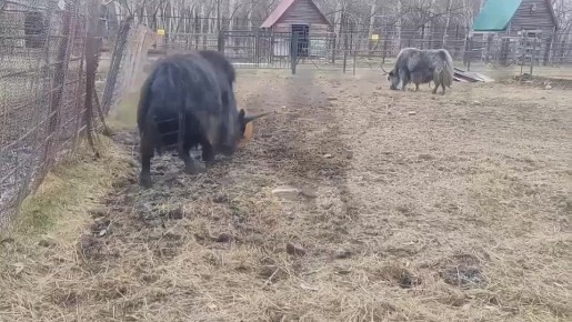 � ��������������� �������� �� ���� ������ � �����